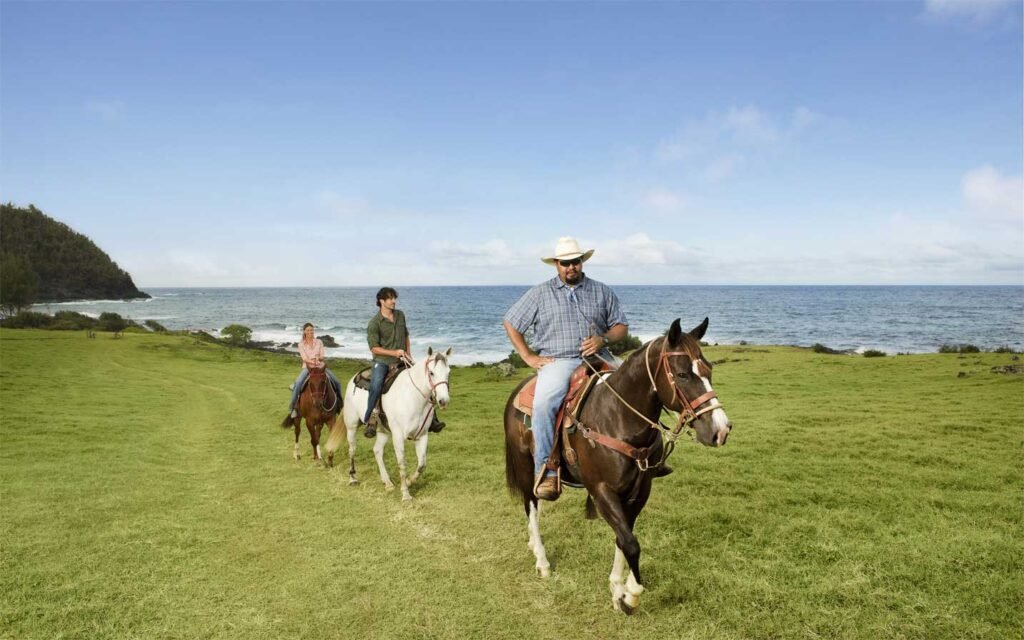 coastal-horseback-riding-travaasana-hana.