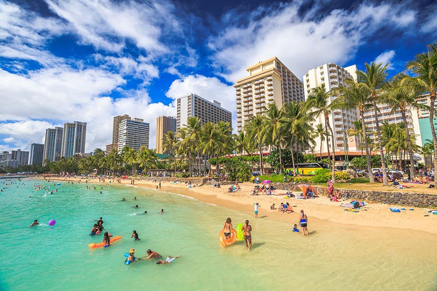 waikiki beach swimmers.