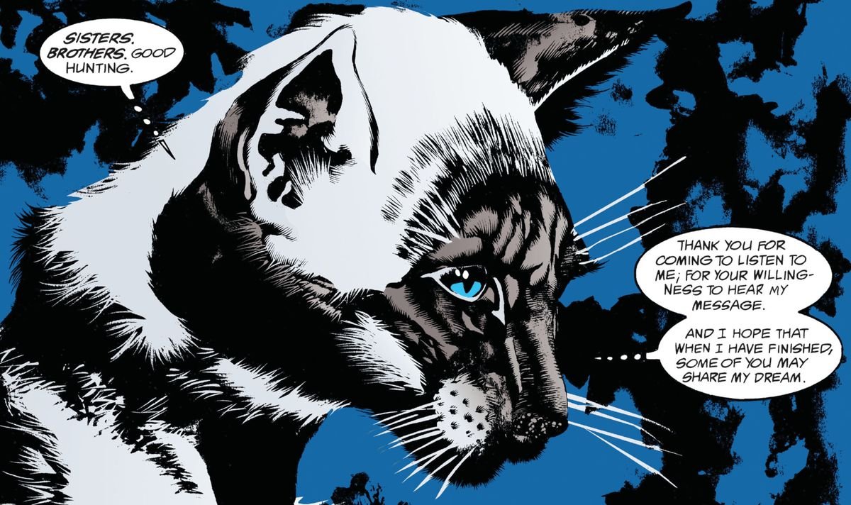 The Siamese Cat speaks to an assembly of cats. “Sisters. Brothers. Good hunting. Thank you for coming to listen to me; for your willingness to hear my message. And I hope that when I have finished, some of you may share my dream,” in The Sandman, DC Comics (1989). 