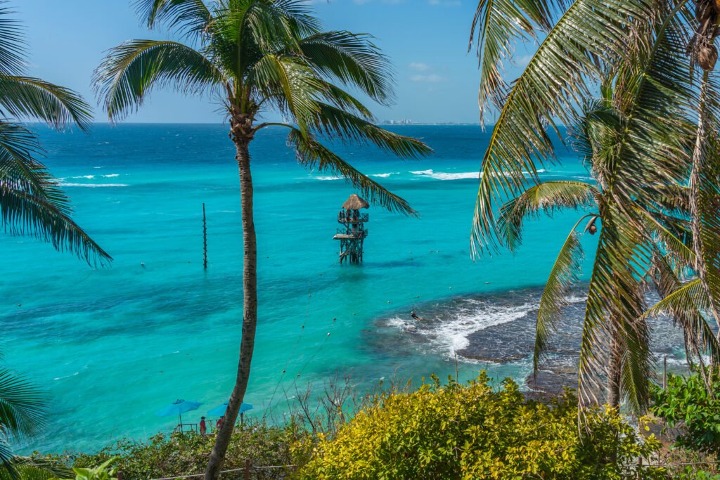 Coastline and palm trees at Garrafon Reef Park Beach Club