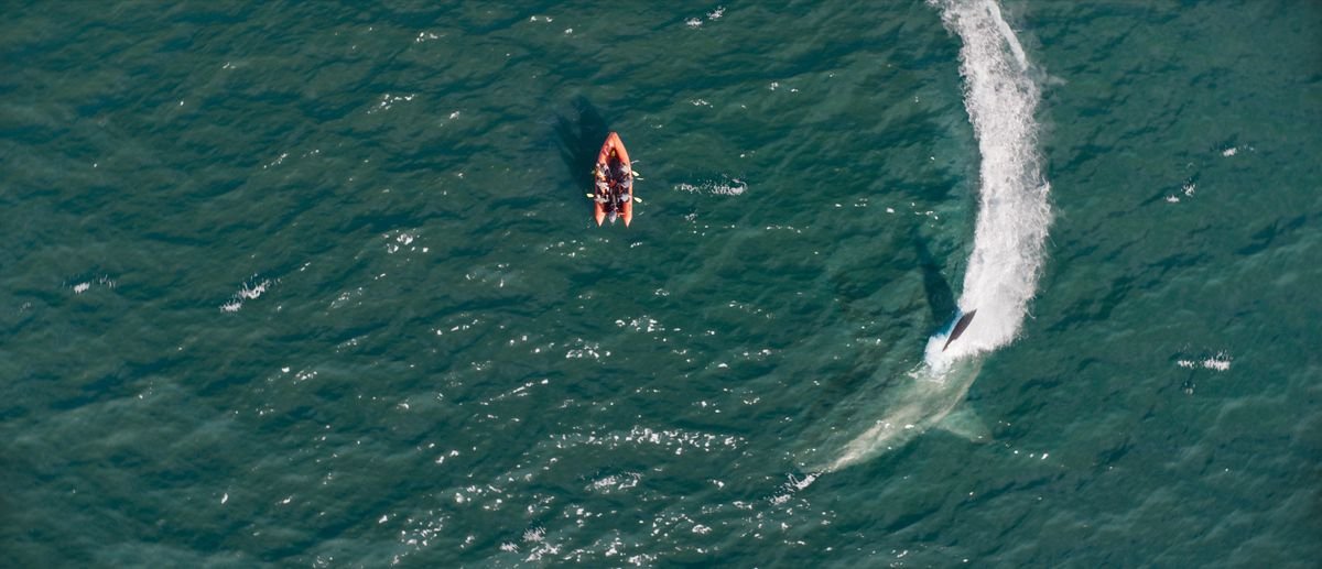 Seen from above, a huge shark circles a tiny inflatable motorboat in Meg 2: The Trench.